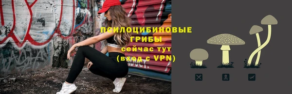 а пвп мука Горно-Алтайск
