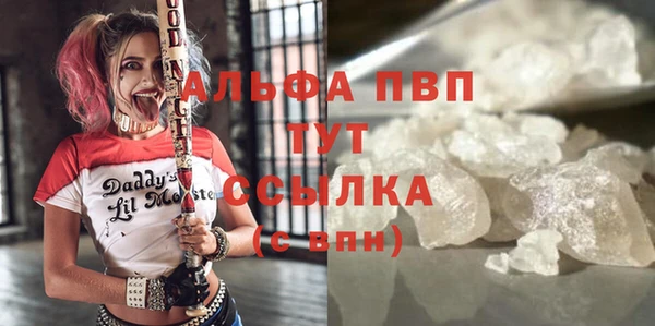 apvp Рославль