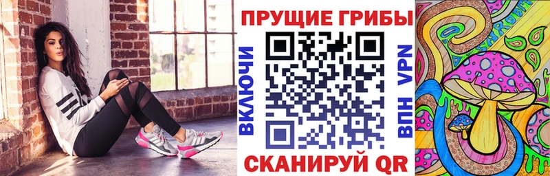 купить закладку  Улан-Удэ  Псилоцибиновые грибы Cubensis 